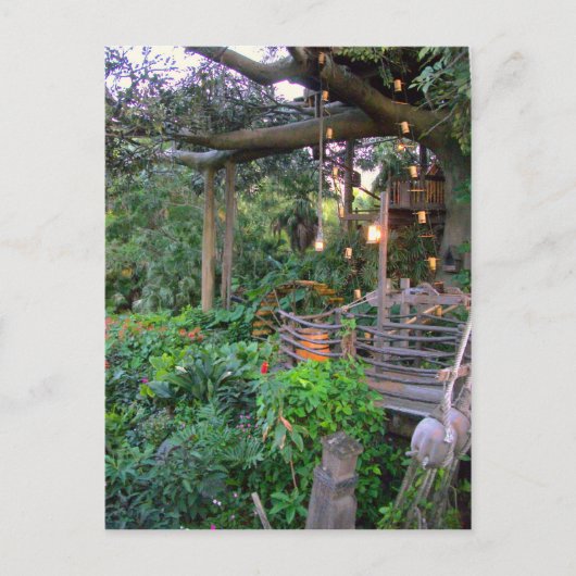 木に住む ポストカード (正面)