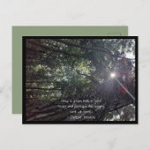 木に光るフォトアート&諺 ポストカード (正面/裏面)