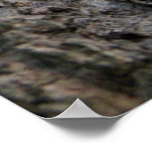 木に吠える ポスター (角)