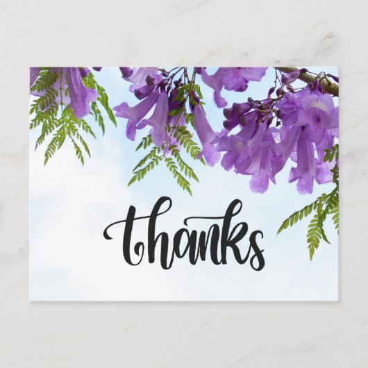 木に咲くジャカランダ紫 ポストカード (正面)