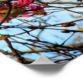 木に咲くピンクの花 ポスター (角)