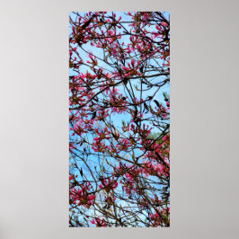 木に咲くピンクの花 ポスター