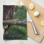 木に威厳のある突き刺さった成熟した禿鷲 キッチンタオル (四つ折り)