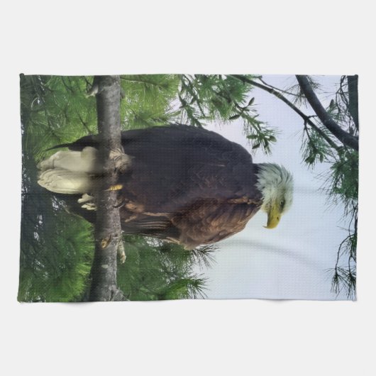 木に威厳のある突き刺さった成熟した禿鷲 キッチンタオル (横)