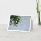 木に実ったイチジクの実、白い壁の肖像 カード (正面)