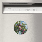 木に実った赤リンゴの自然なデザインのオーダーメイド マグネット (インサイチュ (食洗機))