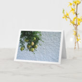 木に実るイチジクの実、白壁の肖像 カード (黄色い花)