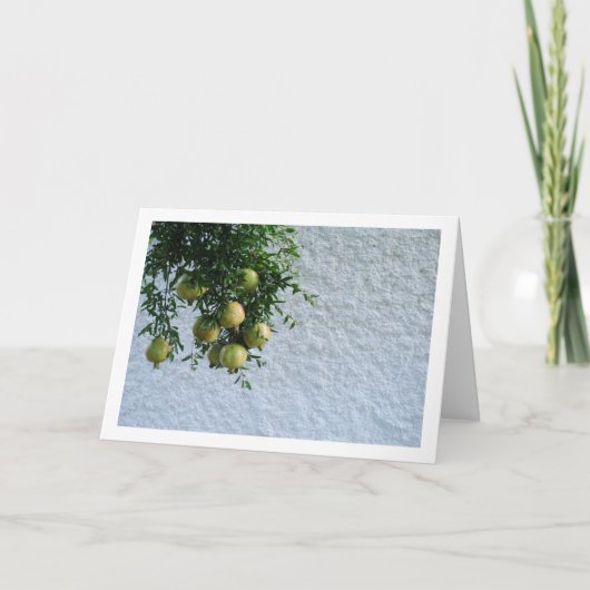 木に実るイチジクの実、白壁の肖像 カード (正面)
