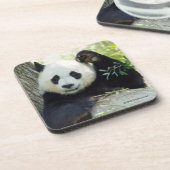 木に対して休んでいるジャイアントパンダ コースター (左側)