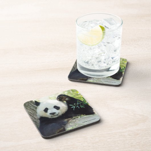 木に対して休んでいるジャイアントパンダ コースター (右側)