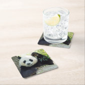 木に対して休んでいるジャイアントパンダ スクエアペーパーコースター (インサイチュ)