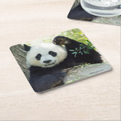 木に対して休んでいるジャイアントパンダ スクエアペーパーコースター (アングル)