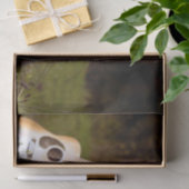 木に対するアコースティックギター 薄葉紙 (ギフト)