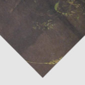 木に巣と虫を作るレイチェル・ルイシュ 薄葉紙 (詳細)