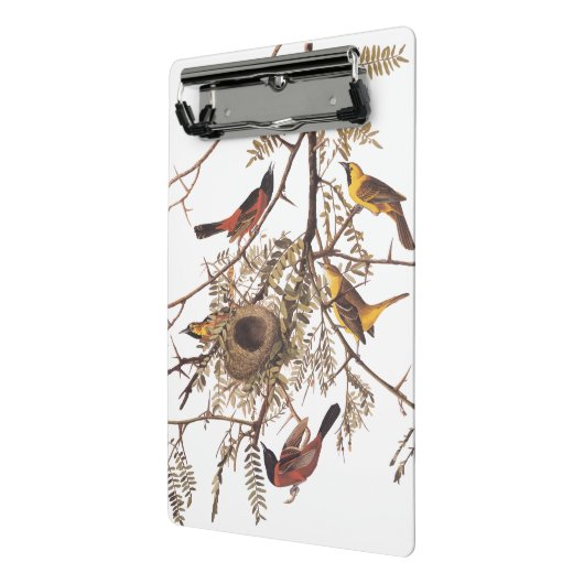 木に巣を作るオードボンの果樹園 ミニクリップボード (アングル2)