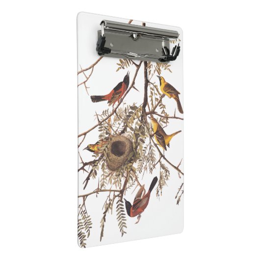 木に巣を作るオードボンの果樹園 ミニクリップボード (アングル)