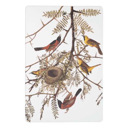 木に巣を作るオードボンの果樹園 ミニクリップボード (裏面)