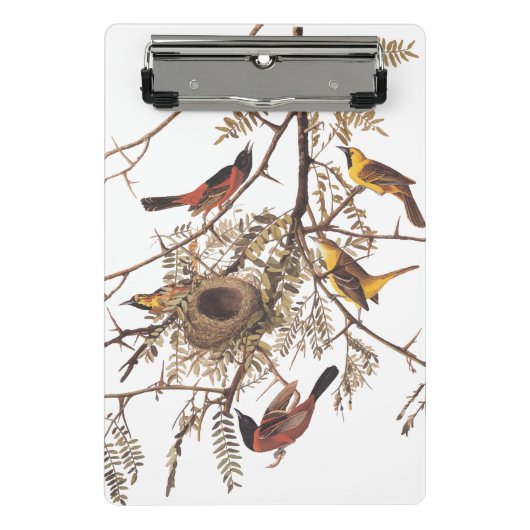 木に巣を作るオードボンの果樹園 ミニクリップボード (正面)