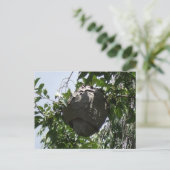 木に巣を作るスズメ ポストカード (スタンド正面)