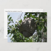 木に巣を作るスズメ ポストカード (正面/裏面)