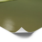 木に座っているブルーティット ポスター (コーナー)