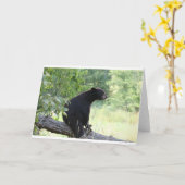 木に座っている黒い熊 カード (黄色い花)