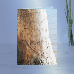 木に彫られた愛 シーズンカード