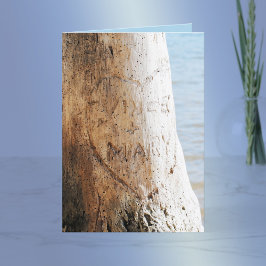 木に彫られた愛 シーズンカード