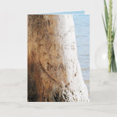 木に彫られた愛 シーズンカード (正面)