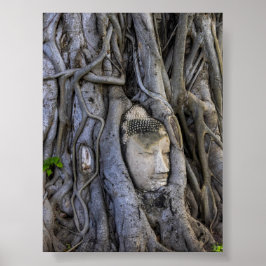 木に挟まれた頭 ポスター