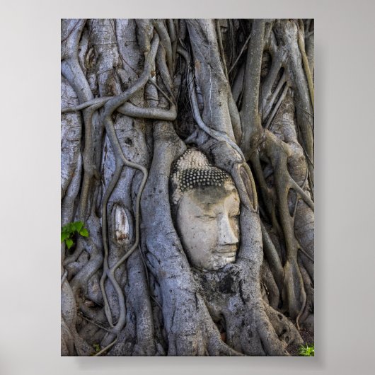 木に挟まれた頭 ポスター (正面)