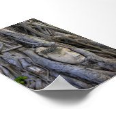 木に挟まれた頭 ポスター (角)