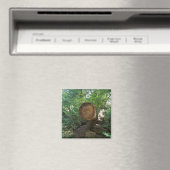 木に描かれた顔 マグネット (インサイチュ (食洗機))