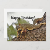 木に横たわるリス  誕生日 ポストカード (正面/裏面)