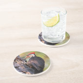 木に止まる美しいアメリカカナダキツツキ コースター (側面)