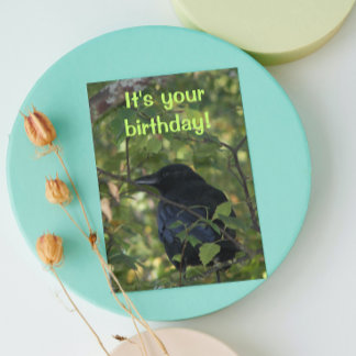 木に止まる黒いカラスの写真の誕生日カード カード