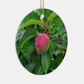 木に生えたばかりの赤りんご セラミックオーナメント (右)