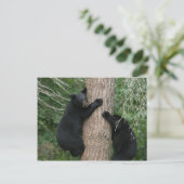 木に生えている熊が二頭 ポストカード (スタンド正面)