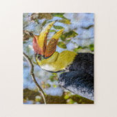 木に生えてしわの寄ったスズメバドリの写真 ジグソーパズル (縦)