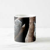 木に生える美しいコアラ コーヒーマグカップ (中央)