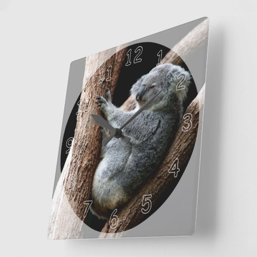木に生える美しいコアラ スクエア壁時計 (傾斜)