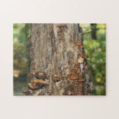 木に生える野生のキノコ自然 ジグソーパズル (横)