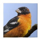 木に生える黒髪の美しいうなり声 タイル (正面)