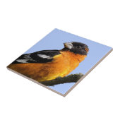 木に生える黒髪の美しいうなり声 タイル (側面)