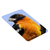 木に生える黒髪の美しいうなり声 マグネット (右側)