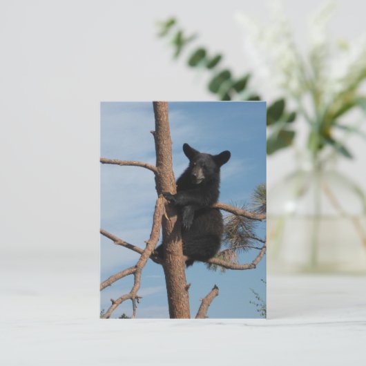 木に生える ポストカード (スタンド正面)