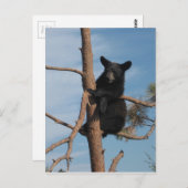 木に生える ポストカード (正面/裏面)