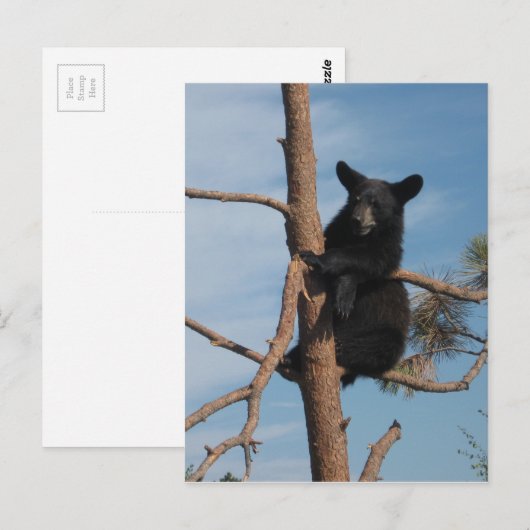 木に生える ポストカード (正面/裏面)