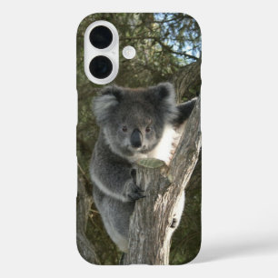 木に登るかわいいコアラ iPhone 16ケース