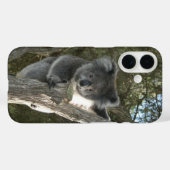 木に登るかわいいコアラ Case-Mate iPhoneケース (裏面 (横))